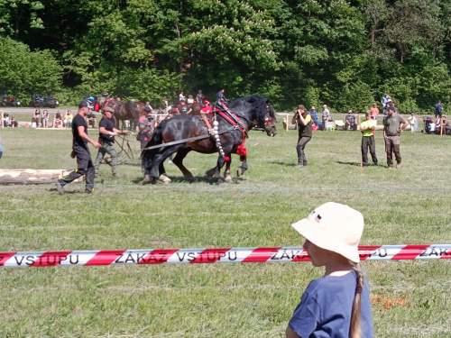 IMG_20260523_151130